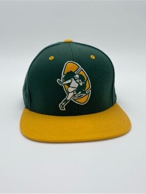 Mitchell & Ness NFL Vintage Collection Retro Green Bay Packers Snapback Hat Cap